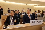 Vietnam continues to contribute effectively to multilateral mechanisms: Ambassador
